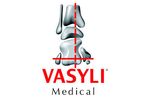 Vasyli International